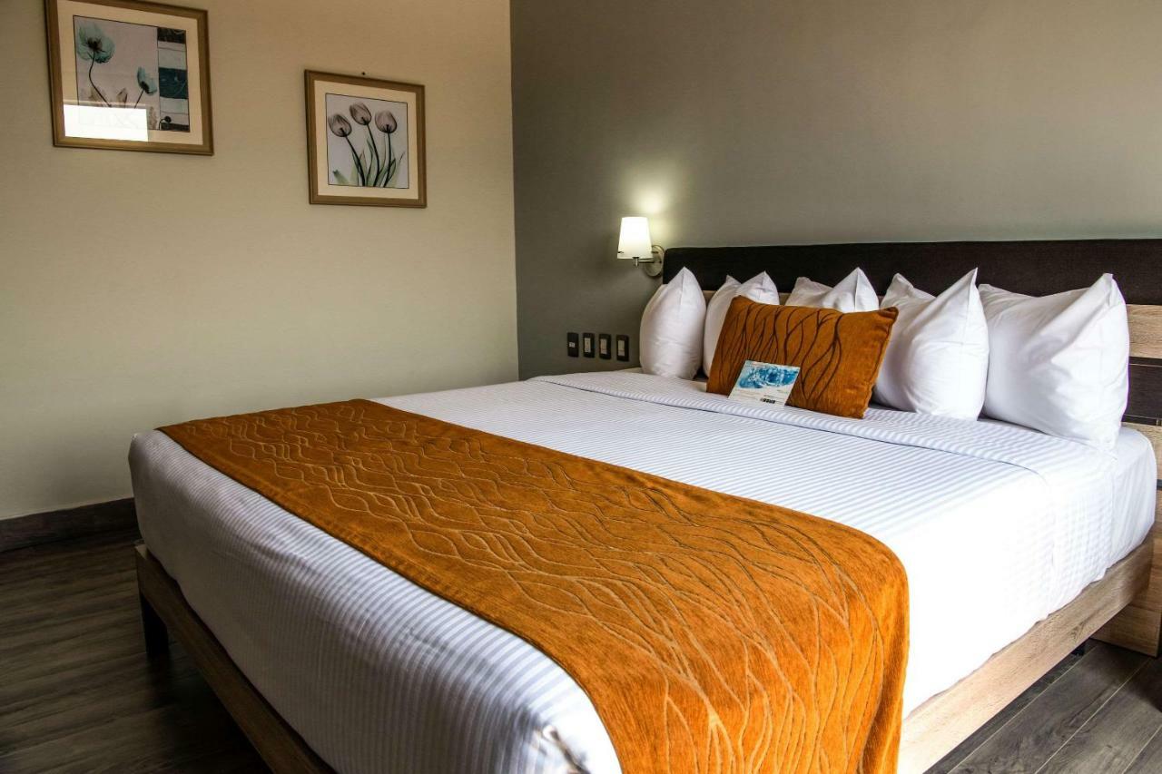 Comfort Inn Irapuato Bagian luar foto